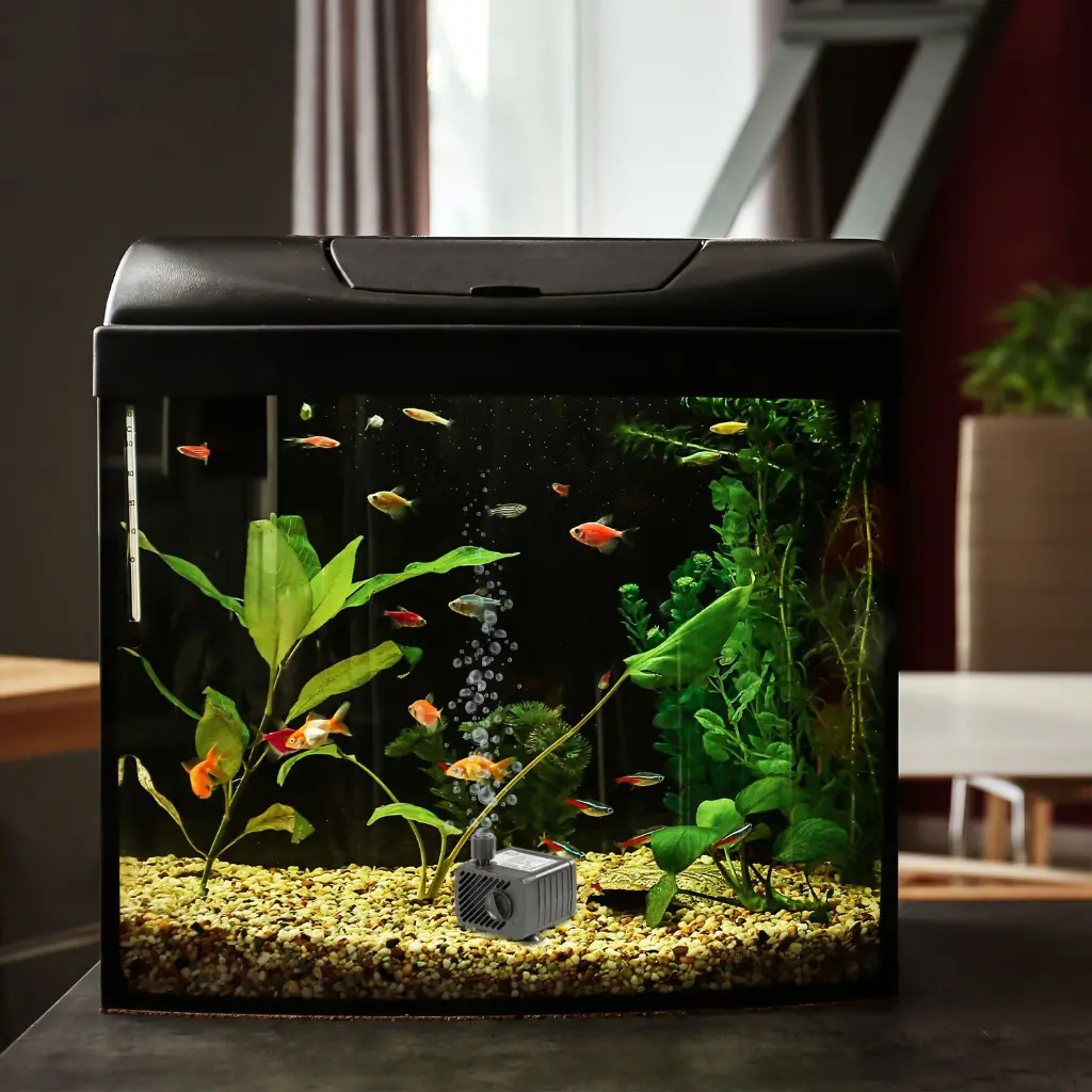 Fuentes_EVANS_AQUA3W_4L.webp