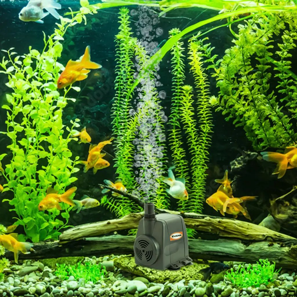 Fuentes_EVANS_AQUA45W_4L.webp