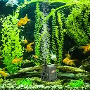 Fuentes_EVANS_AQUA45W_4L.webp