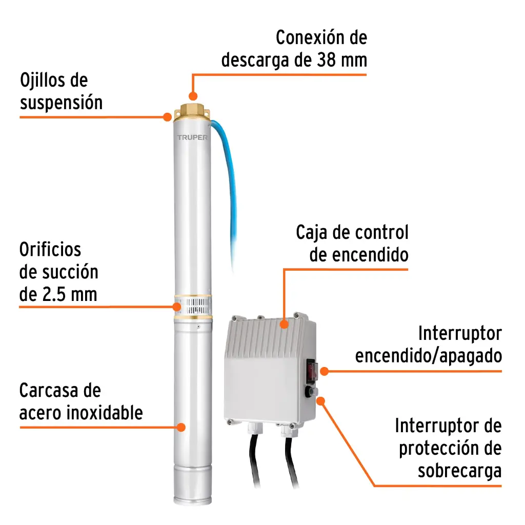 1000346512.webp