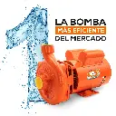Bomba semi-profesional 2 HP