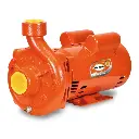 Bomba semi-profesional 3 HP