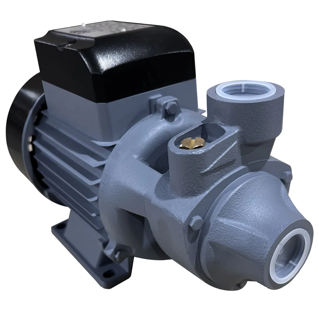BOMBA PERIFÉRICA CHL60 1"X1" 0.5HP 115V/1F BGP 1040278