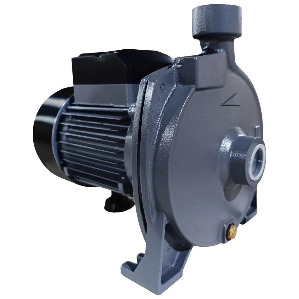 BOMBA CENTRIFUGA CHH TIPO CARACOL 1HP 110-220V/1F 1"X1" BGP 1040358