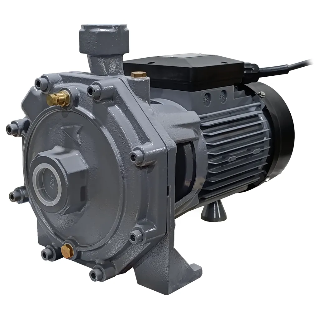 BOMBA CENTRIFUGA CTI DOBLE IMPULSOR 5.5HP 220V/1F 1.5"X1.25" BGP 1040367
