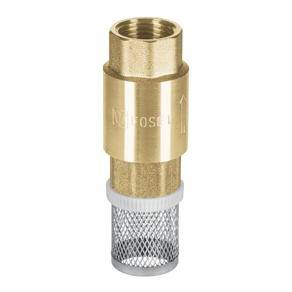 CHECK PASCON ACERO INOX 1/2 PICHA-1/2X FOSET