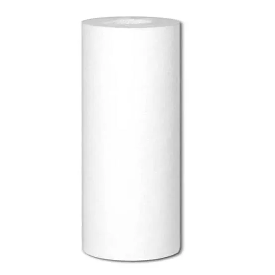 FILTRO POLIPROP 10UM 4.5X10 EVANS SEDIMENTO